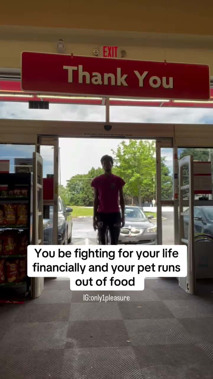 Cover for You be fighting for your life financially and your pet runs out of food #FunniestVideoOnMyPhone#CaughtOnCamera