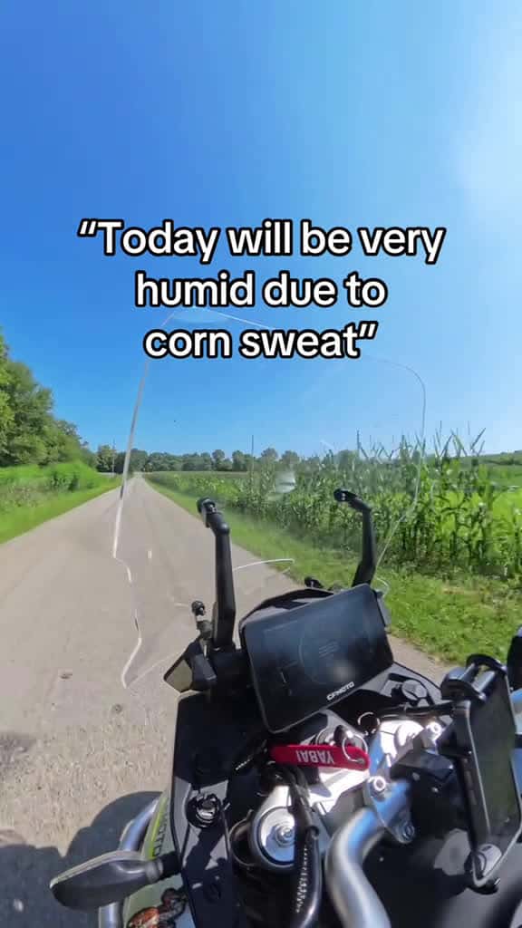 Cover for Take that corn! 🌽 😡 #cornsweat #indiana #weather #heat #humid #usa  created by Josh with Kobe Mane & SoyFlowers’s Olympo Rave