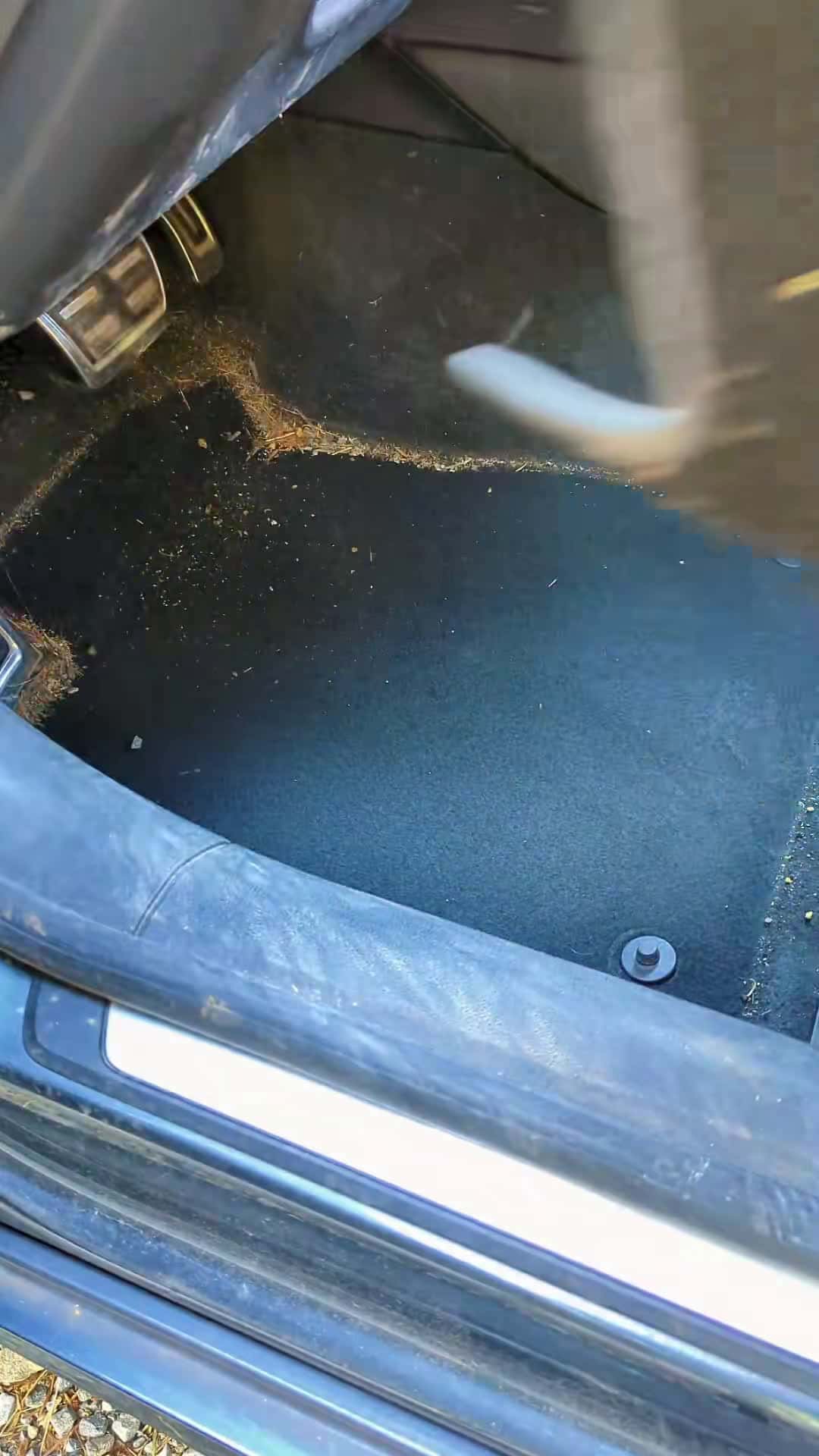 Cover for 💦🚗 Grosse prestation sur cette Audi A5 coupé S Line. Alors satisfaisant !? 🫣 #bubbleauto #clean #cleancar #asmr #audi