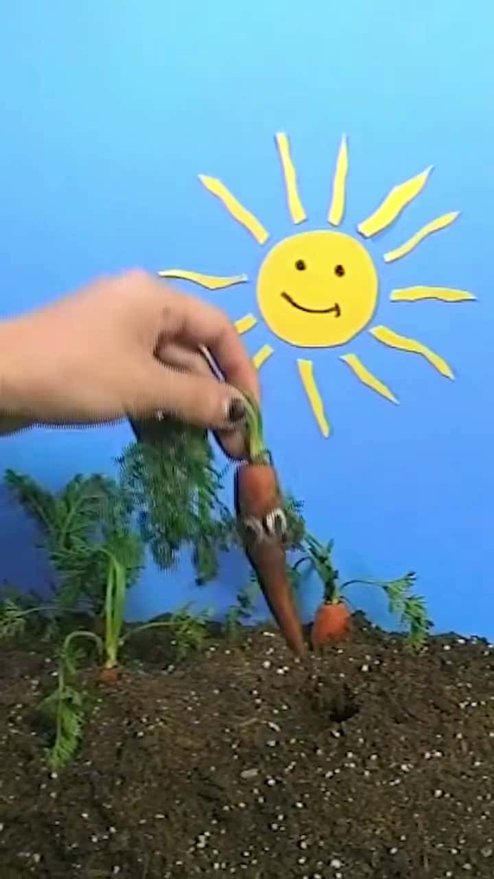 Cover for the circle of life
