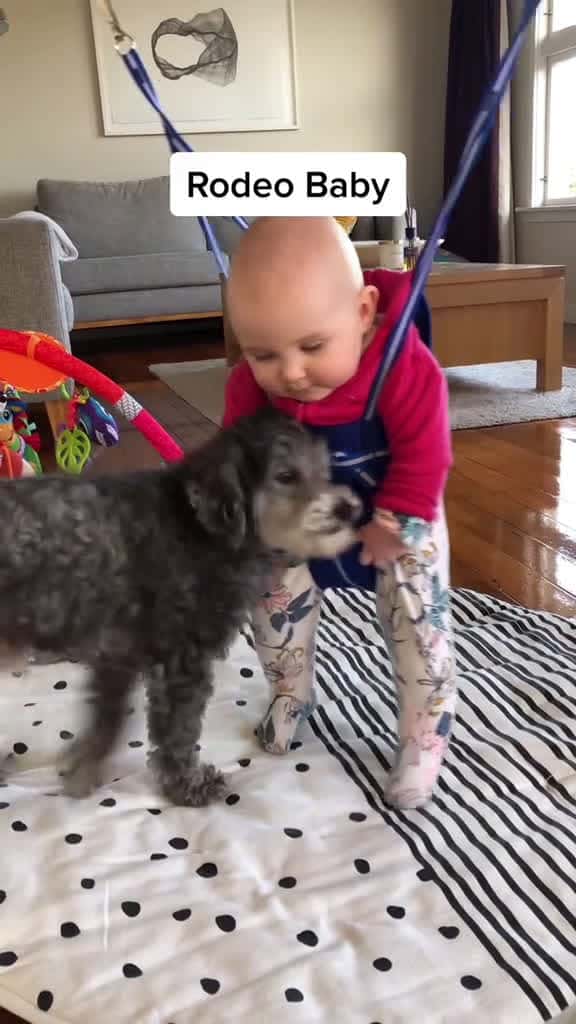 Cover for Funny story about baby and dog dog Love baby pet lovestory friends dogsoftiktok foryou usa 83438 #shortvideos