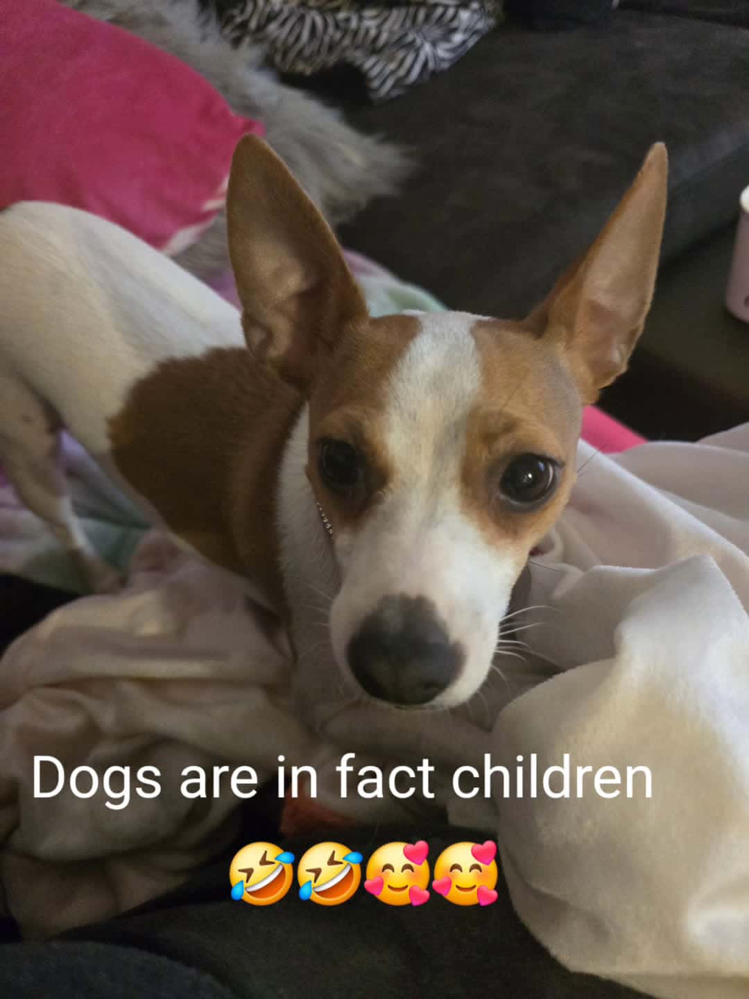 Cover for #UnpopularOpinion#dogsarechildren#Zina#canipetthatdog 