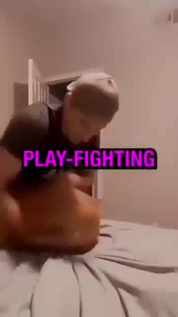 Cover for Do you think the dog is a good actor ? #dog#pet#acting#trending#shorts#fyp#reel#foryou#trend#viral#jokejuxtapose#spotlight#like#comment#share#follow