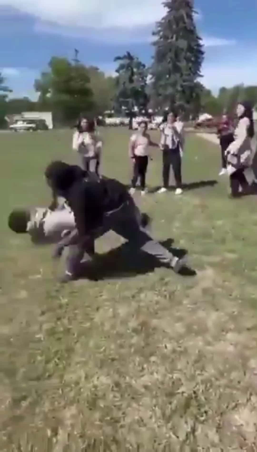 Cover for #fight #fightcam #firstvideochallenge #oddlysatisfying #caughtoncamera #toofunnytoscroll #lifedrama #fightcam 