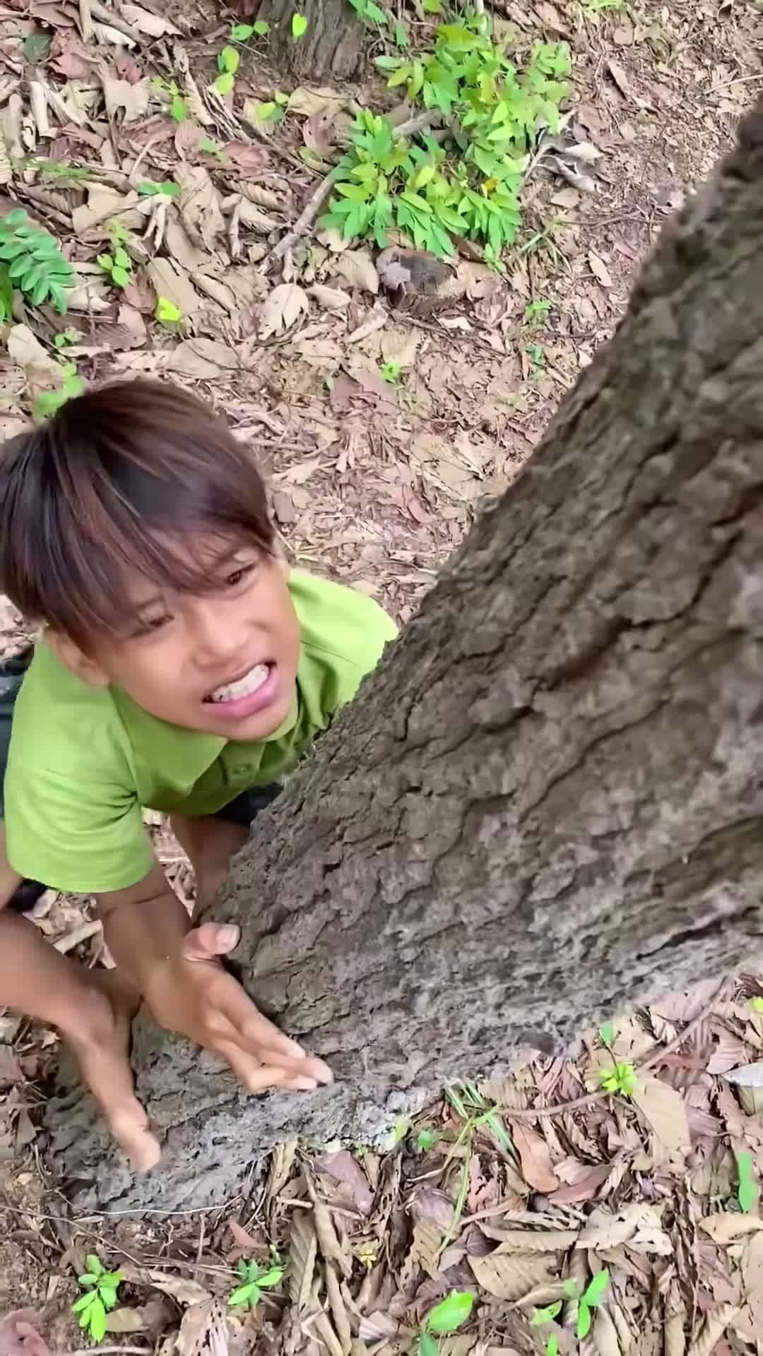 Cover for Survival Skills In Forest: Single mom and son #survival #buscraft #outdoors #shorts #forest #camping