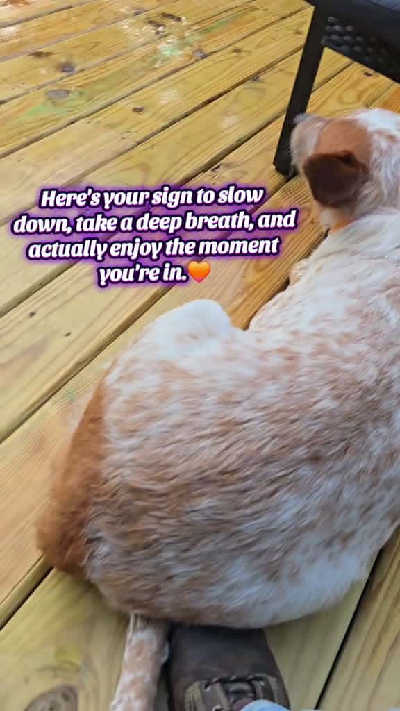 Cover for Don't forget to slow down, take time for yourself and spend time with the people in your life who matter the most.  You'll never regret making memories, life goes by so quickly...don't let it pass you by! #GarnoHomestead #farm ...