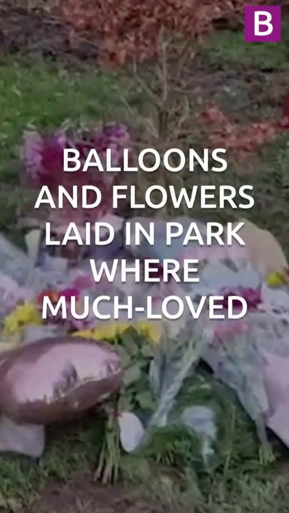 Cover for Heartbreaking tributes to mum found dead in park birminghamuk news 17153 #trending