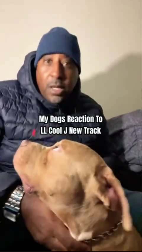 Cover for WATCH DOGS Mind Blowing REACTION TO LL COOL J SONG #hiphop_074 (2)