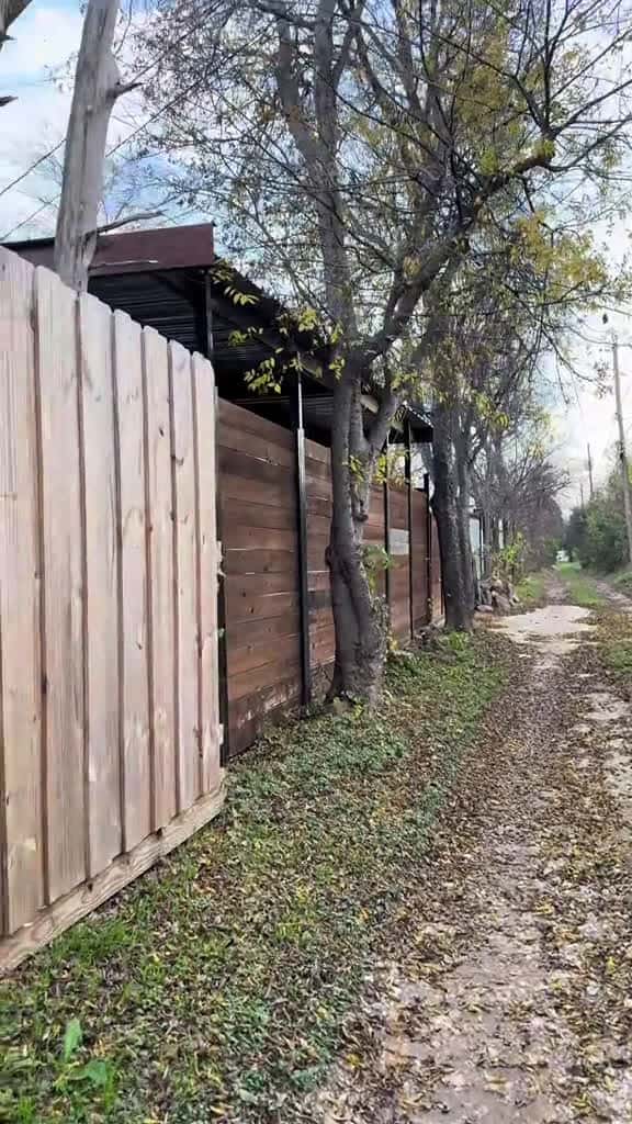 Cover for tiktokfinds solarlights fyp 55242 #shortvideos