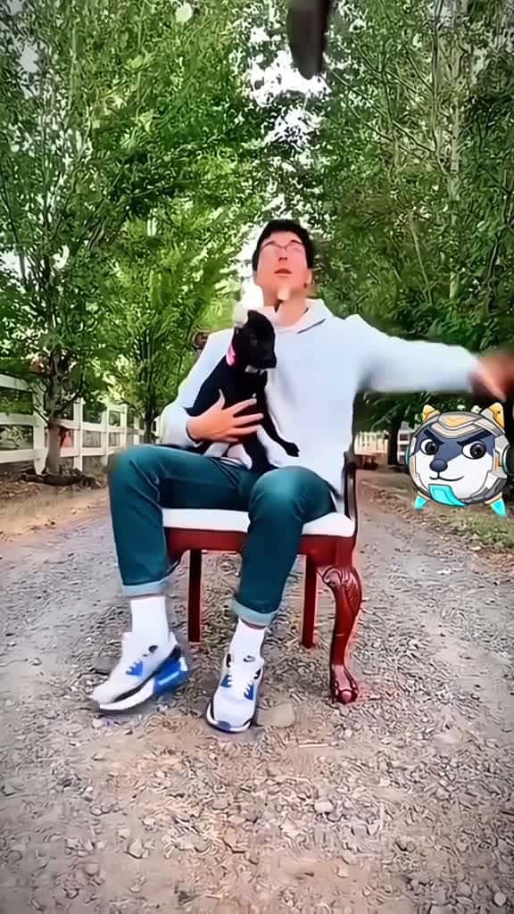 Cover for 🐶