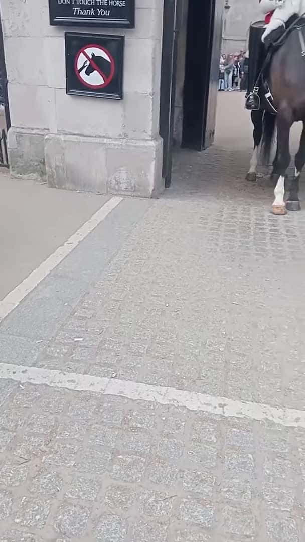 Cover for IT IS NOT A JOKE AROUND THE KING'S LIFE GUARD. THE PLACE IS... #tourist #tourism #horse 