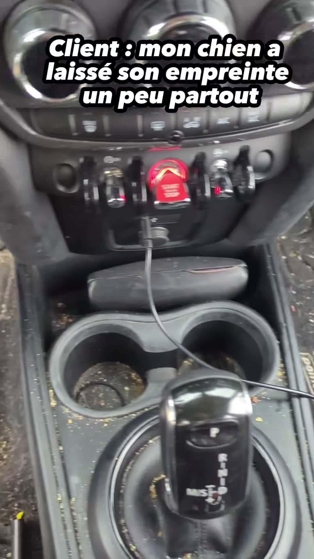 Cover for Nettoyage intérieur avec poil de chien ASMR #cleancar #nettoyageauto #asmr #satisfying #satisfaction #lavageauto #CapCut