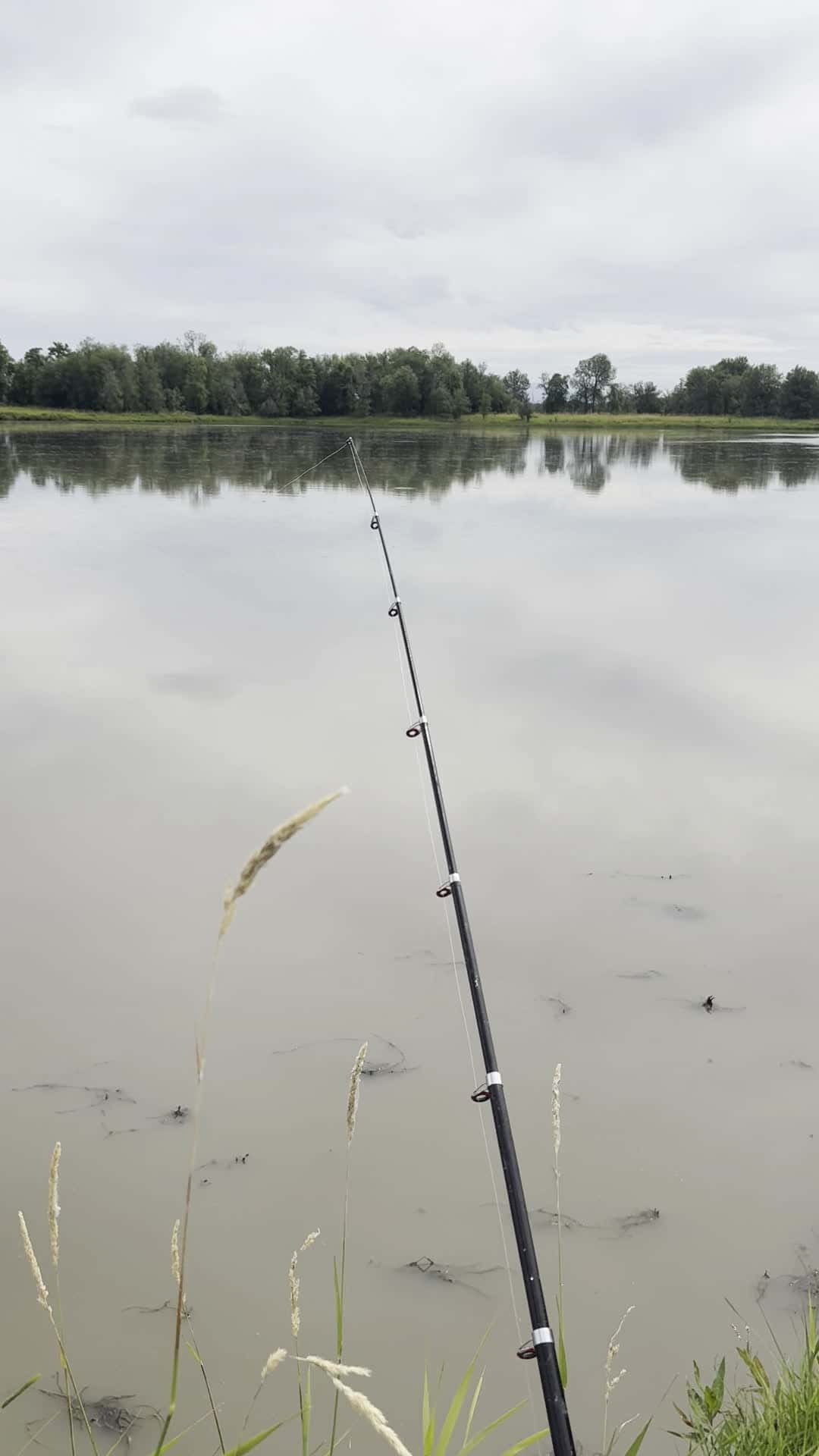 Cover for Fishing