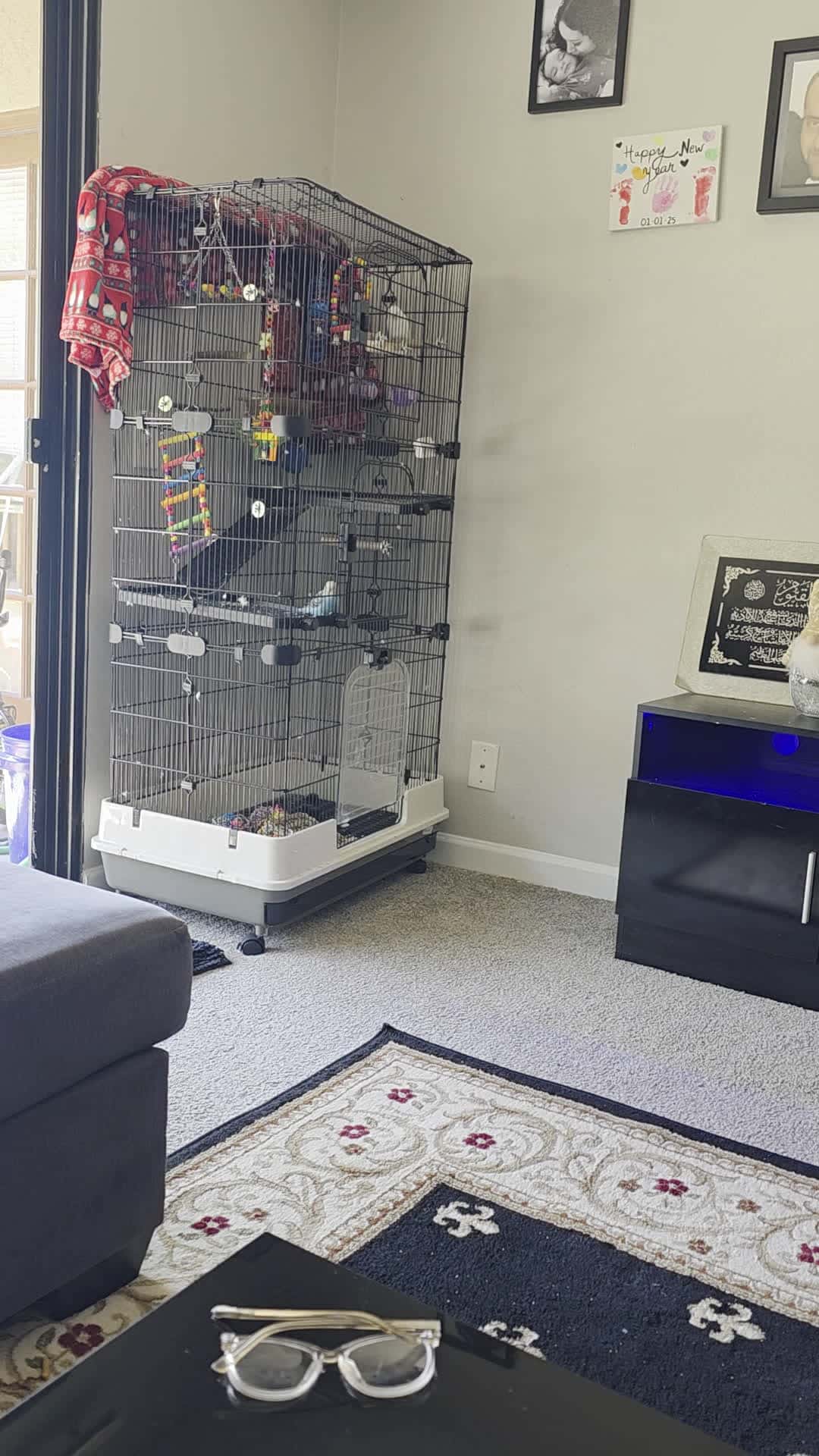 Cover for 🐅 blueberry escaped 🐦😪