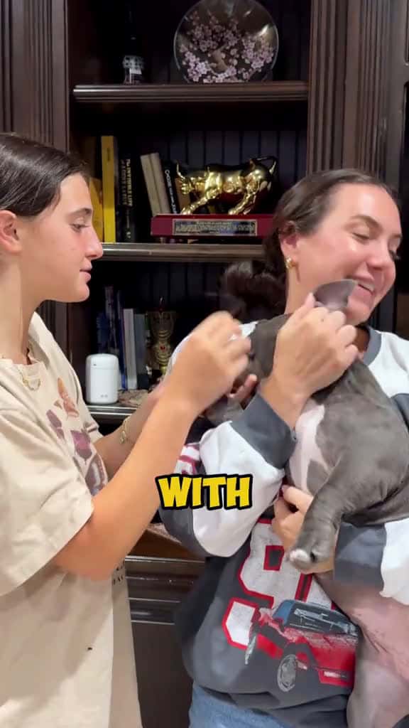 Cover for Happy international dog day Krodiekazi 75294 #shortvideos
