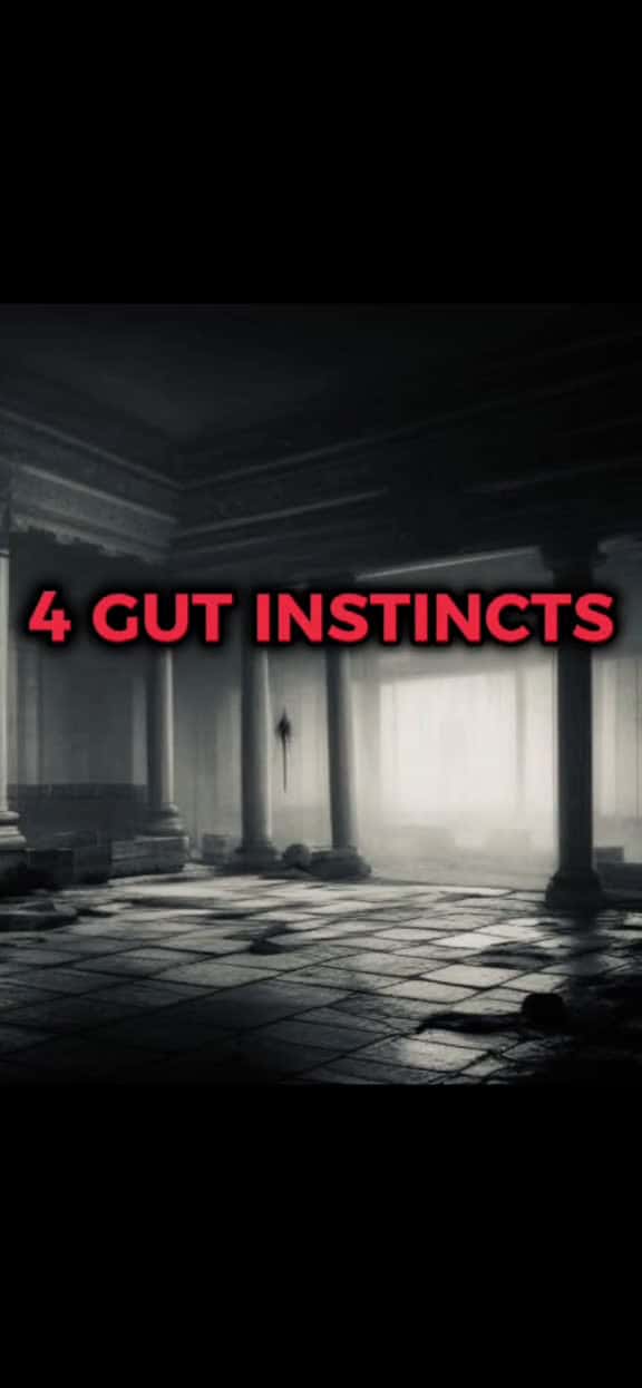 Cover for 4 Gut Instincts You Should NOT Ignore. gutinstinct  importante important health r 49601 #nicevideo