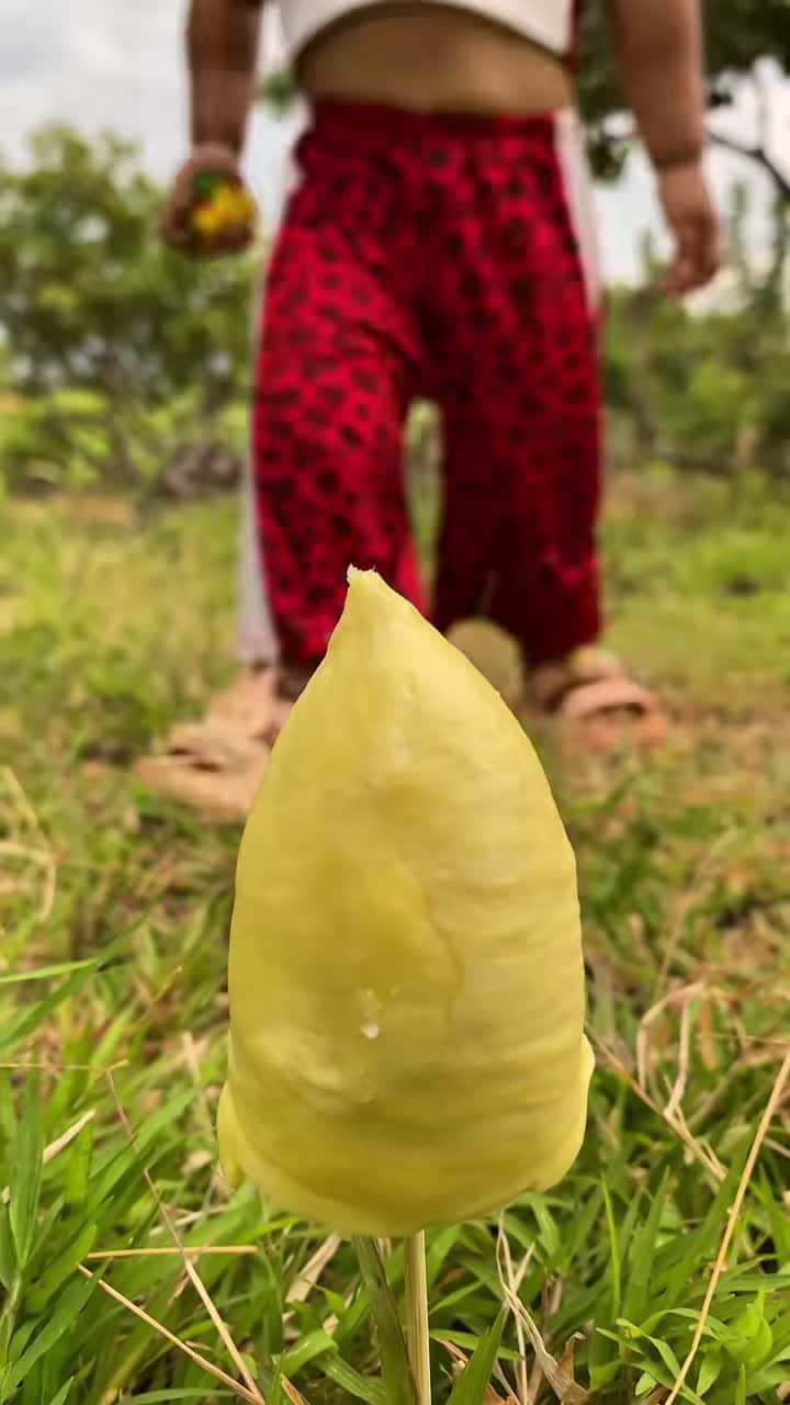 Cover for Survival Skills: SMART ideas and USEFUL with Durian #tiktok #bushcraft #camping #outdoors #survival