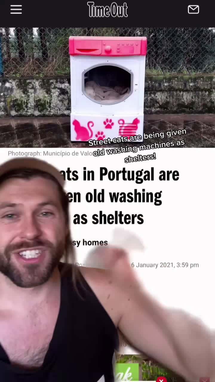 Cover for Street cats are being given old washing machines as shelters!😍🐱 #fyp #foryou #cats #goodnews #foryoupage