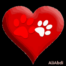 comment picture