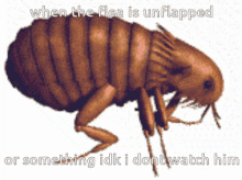 comment picture
