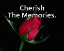 comment picture