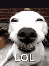 comment picture