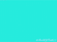 comment picture