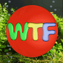 comment picture