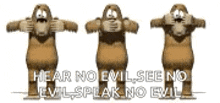 comment picture