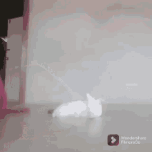 comment picture