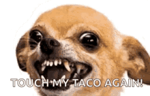comment picture