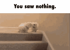 comment picture