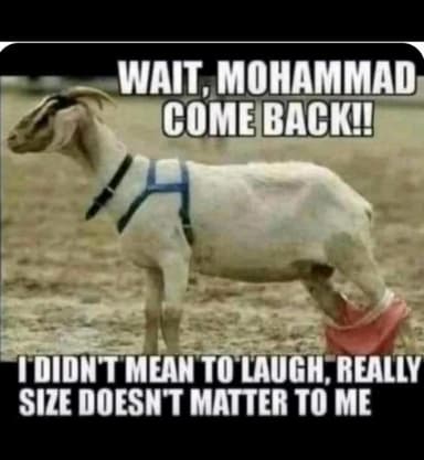 comment picture