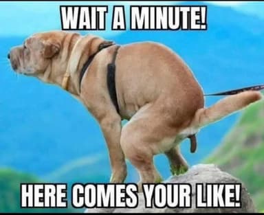 comment picture