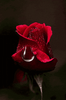 comment picture