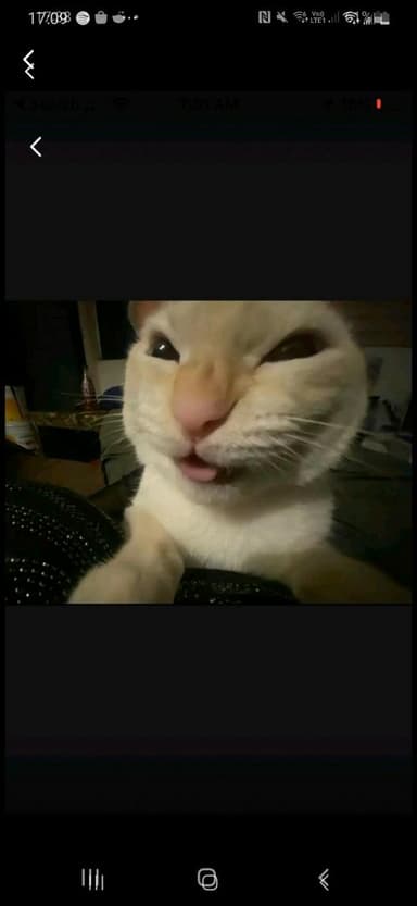 comment picture