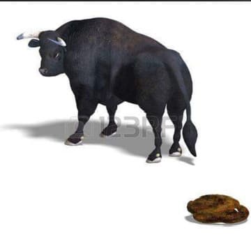 comment picture