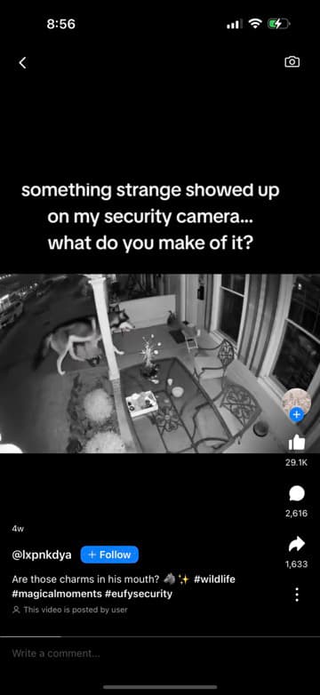 comment picture