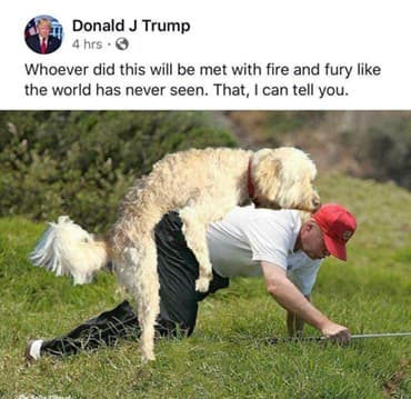 comment picture