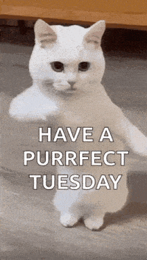 comment picture