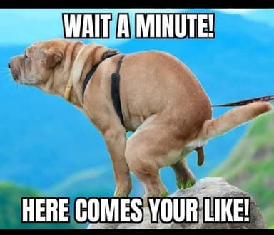 comment picture