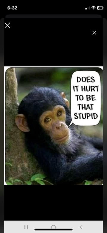 comment picture