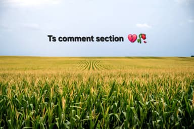 comment picture