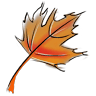 avator