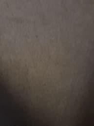 avator