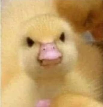 avator