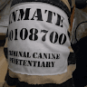 avator