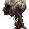 avator