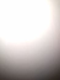 avator