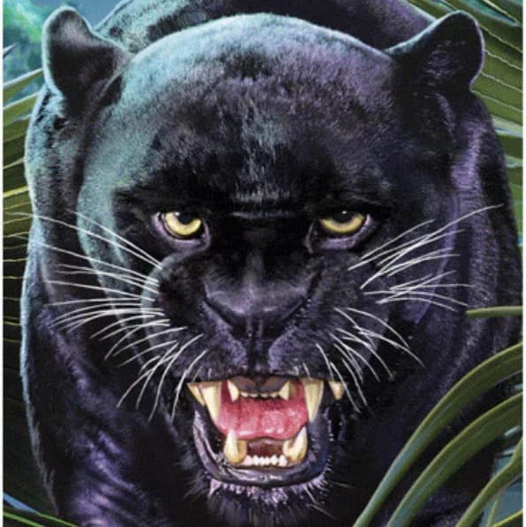 avator